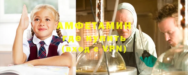 прущие грибы Зеленокумск