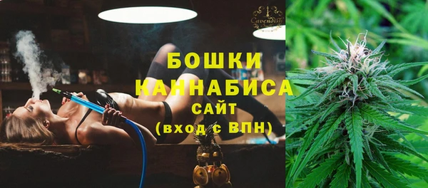 ГАЛЛЮЦИНОГЕННЫЕ ГРИБЫ Заволжск